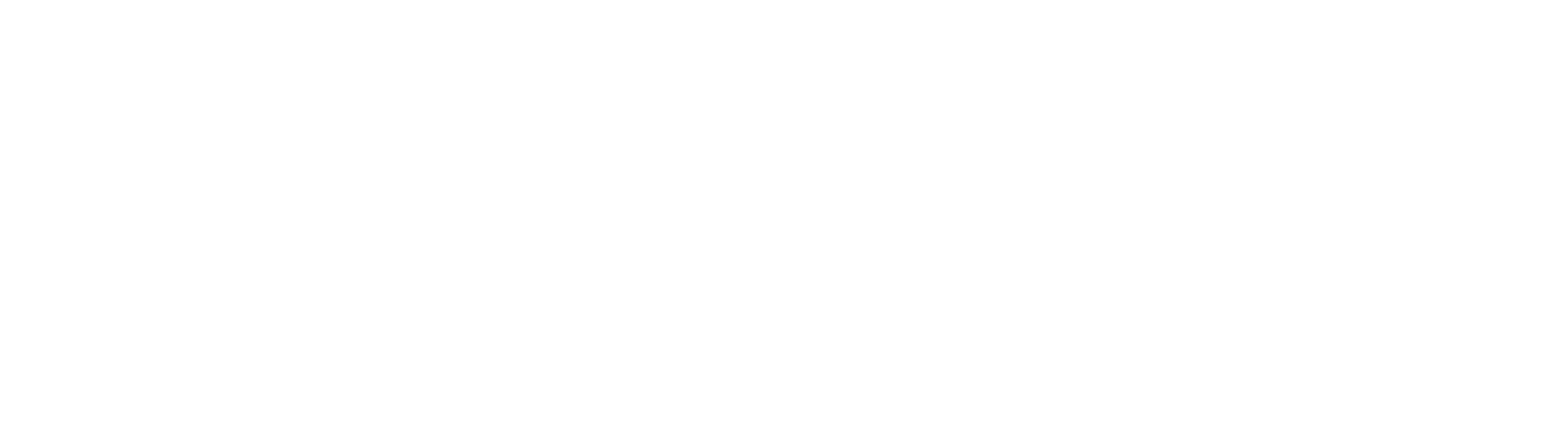 Logo Actinvision